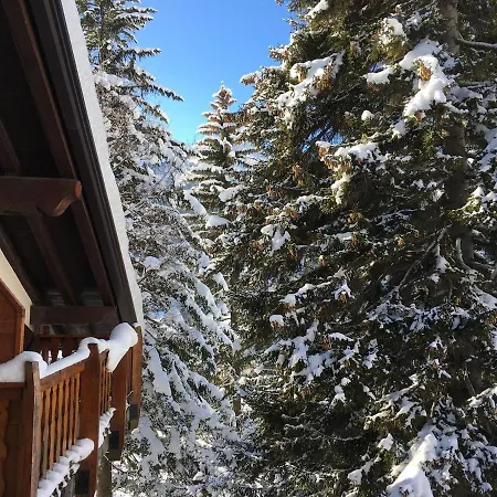 Apartment Vista Mont Blanc Courmayeur
